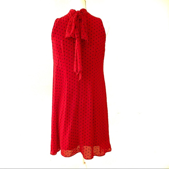 💕💕 Red Polka dot Dress Signature by Robbie Bee - Picture 2 of 8